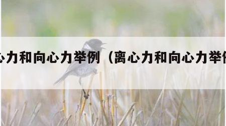 离心力和向心力举例（离心力和向心力举例图）