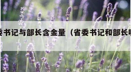 省委书记与部长含金量（省委书记和部长哪个好）