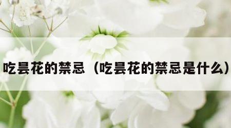 吃昙花的禁忌（吃昙花的禁忌是什么）