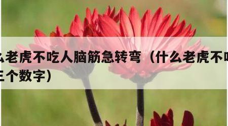 什么老虎不吃人脑筋急转弯（什么老虎不吃人猜三个数字）