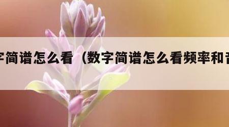 数字简谱怎么看（数字简谱怎么看频率和音程）