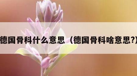 德国骨科什么意思（德国骨科啥意思?）