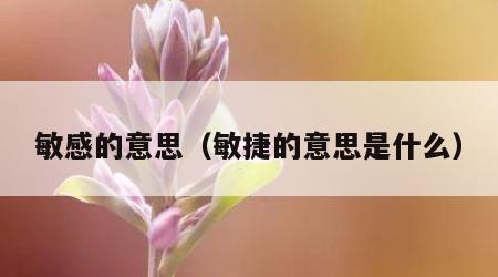 敏感的意思（敏捷的意思是什么）