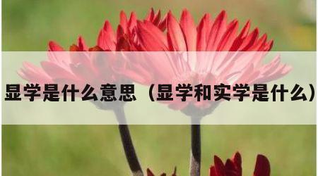 显学是什么意思（显学和实学是什么）