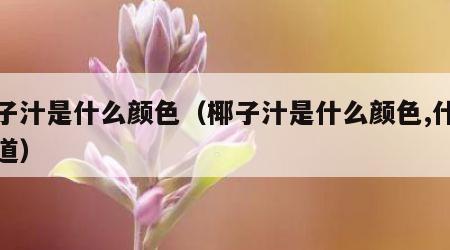 椰子汁是什么颜色（椰子汁是什么颜色,什么味道）