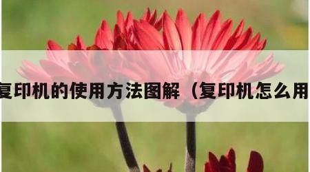 复印机的使用方法图解（复印机怎么用）