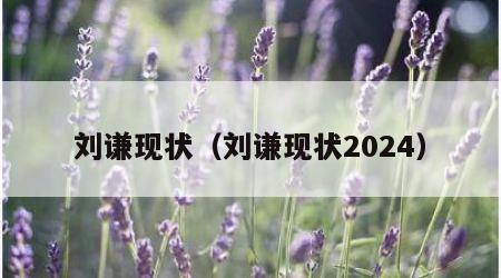 刘谦现状（刘谦现状2024）