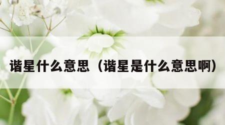 谐星什么意思（谐星是什么意思啊）