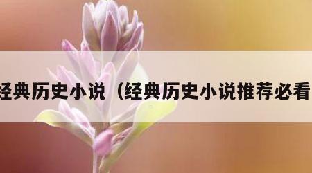 经典历史小说（经典历史小说推荐必看）