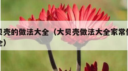 大贝壳的做法大全（大贝壳做法大全家常做法大全）