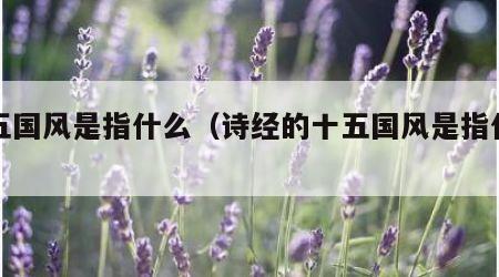 十五国风是指什么（诗经的十五国风是指什么）