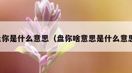 盘你是什么意思（盘你啥意思是什么意思）