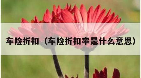 车险折扣（车险折扣率是什么意思）