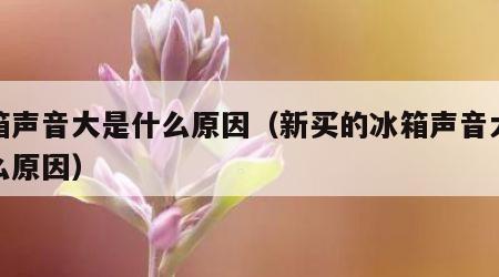 冰箱声音大是什么原因（新买的冰箱声音大是什么原因）