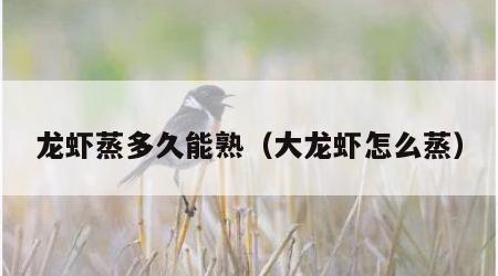 龙虾蒸多久能熟（大龙虾怎么蒸）