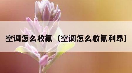空调怎么收氟（空调怎么收氟利昂）
