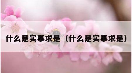 什么是实事求是（什么是实事求是）