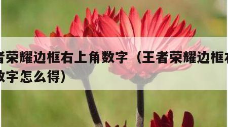 王者荣耀边框右上角数字（王者荣耀边框右上角数字怎么得）