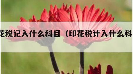 印花税记入什么科目（印花税计入什么科目?）