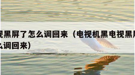 电视黑屏了怎么调回来（电视机黑电视黑屏了怎么调回来）
