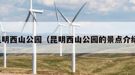 昆明西山公园（昆明西山公园的景点介绍）
