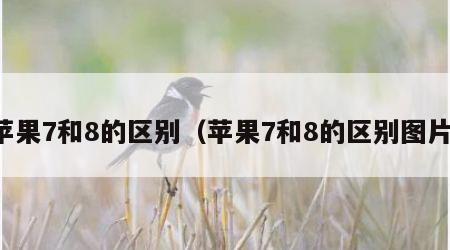 苹果7和8的区别（苹果7和8的区别图片）