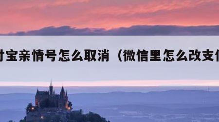 支付宝亲情号怎么取消（微信里怎么改支付密码）