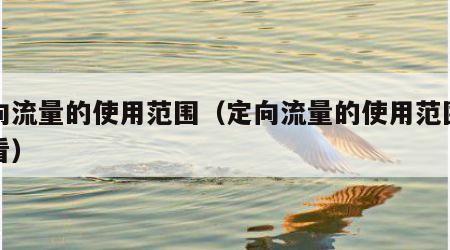 定向流量的使用范围（定向流量的使用范围在哪看）