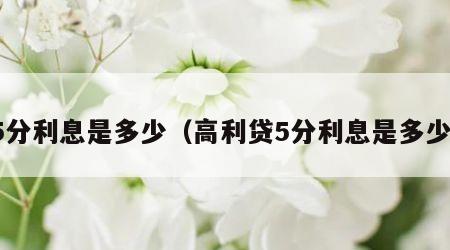 5分利息是多少（高利贷5分利息是多少）