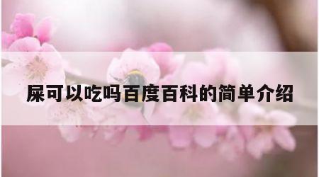 屎可以吃吗百度百科的简单介绍