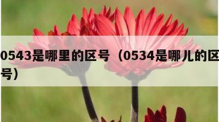 0543是哪里的区号（0534是哪儿的区号）