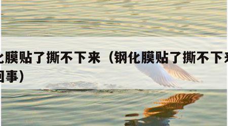 钢化膜贴了撕不下来（钢化膜贴了撕不下来怎么回事）