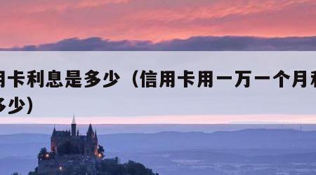 信用卡利息是多少（信用卡用一万一个月利息是多少）