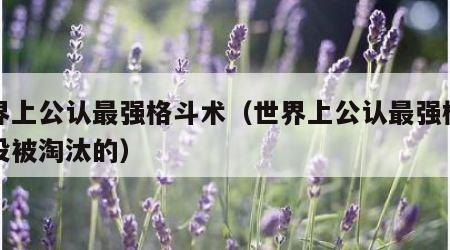 世界上公认最强格斗术（世界上公认最强格斗术没被淘汰的）