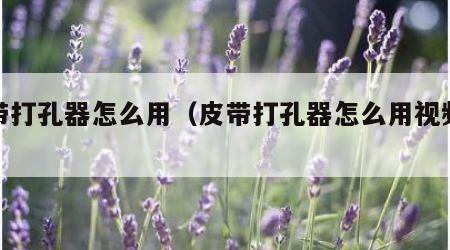 皮带打孔器怎么用（皮带打孔器怎么用视频教程）