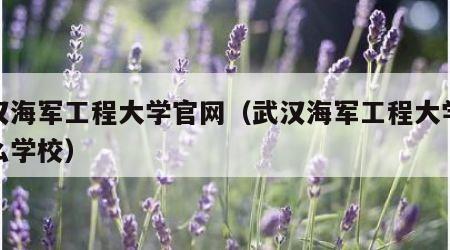 武汉海军工程大学官网（武汉海军工程大学是什么学校）