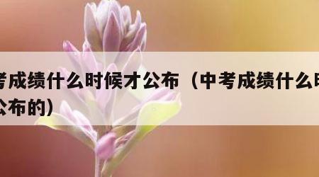 中考成绩什么时候才公布（中考成绩什么时候才公布的）