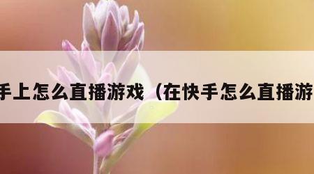 快手上怎么直播游戏（在快手怎么直播游戏）