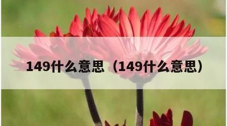 149什么意思（149什么意思）