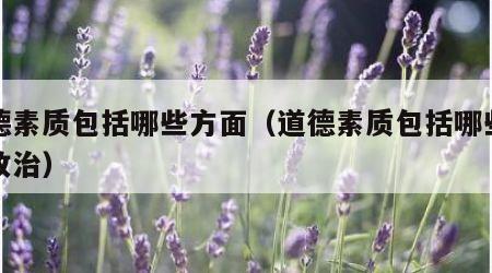 道德素质包括哪些方面（道德素质包括哪些方面政治）