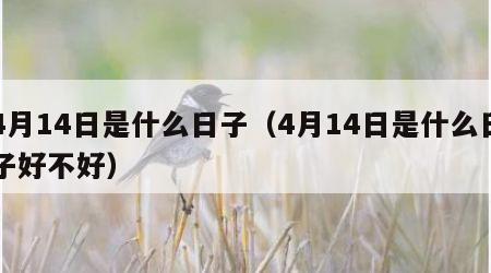 4月14日是什么日子（4月14日是什么日子好不好）