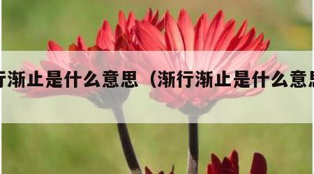 渐行渐止是什么意思（渐行渐止是什么意思解释）