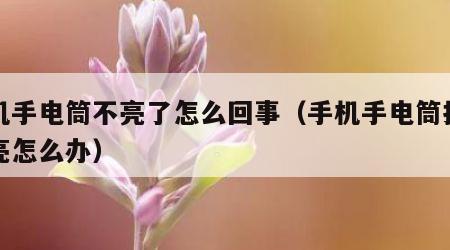 手机手电筒不亮了怎么回事（手机手电筒打开不亮怎么办）