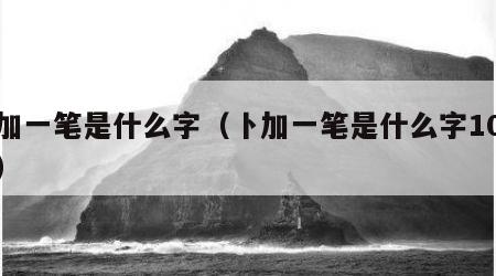 卜加一笔是什么字（卜加一笔是什么字10个词）