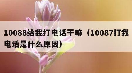 10088给我打电话干嘛（10087打我电话是什么原因）