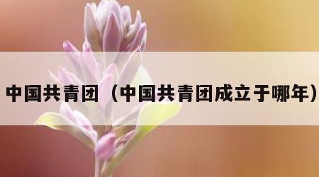 中国共青团（中国共青团成立于哪年）