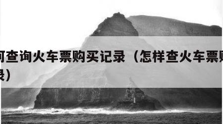 如何查询火车票购买记录（怎样查火车票购买记录）