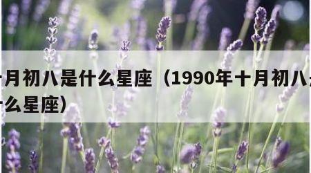 十月初八是什么星座（1990年十月初八是什么星座）