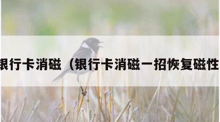 银行卡消磁（银行卡消磁一招恢复磁性）