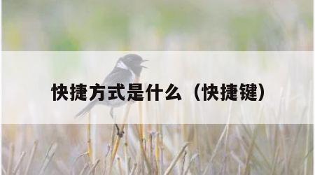 快捷方式是什么（快捷键）